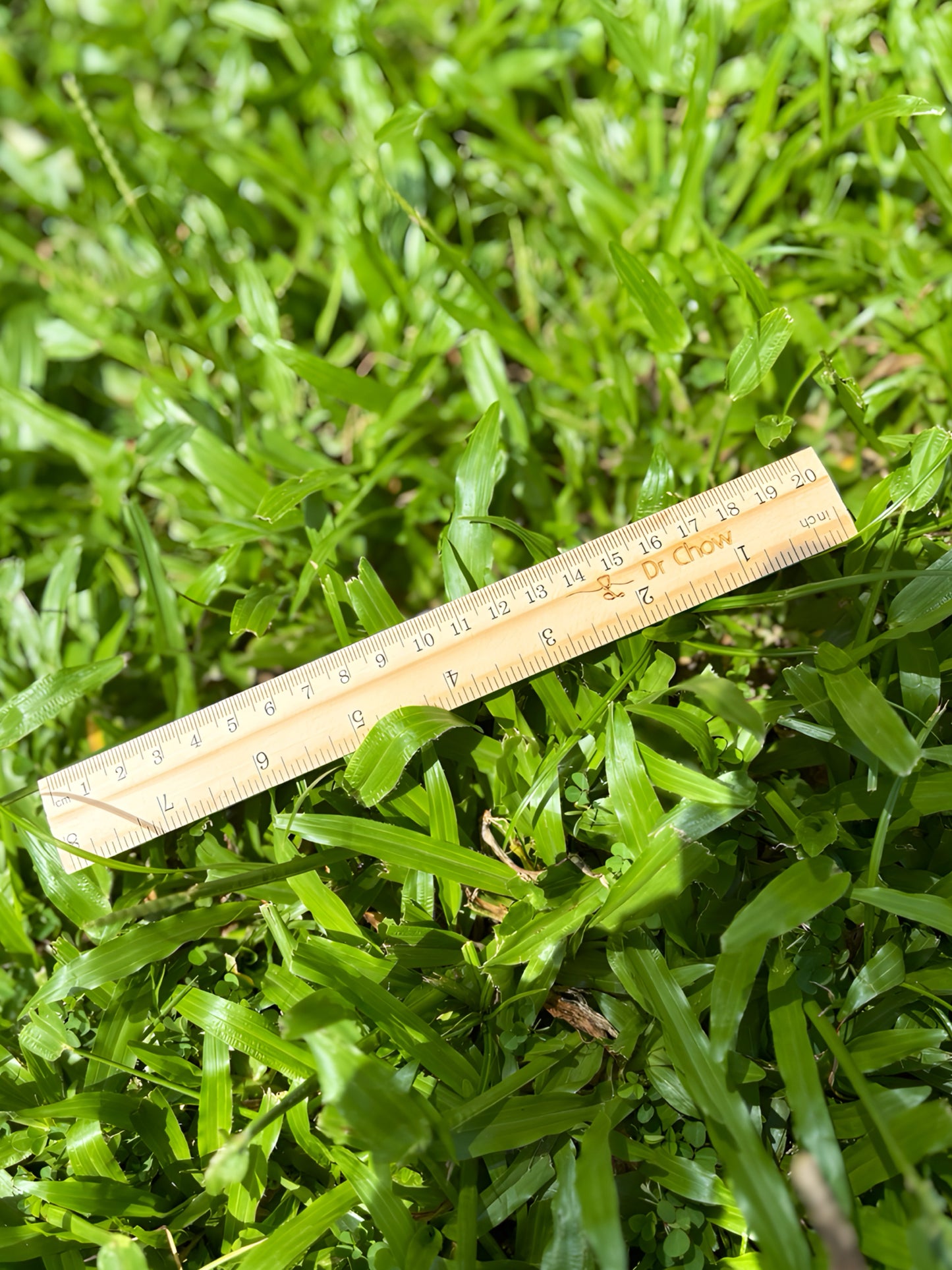 Wooden Ruler – Personalized Gift for Teachers, Students & Friends